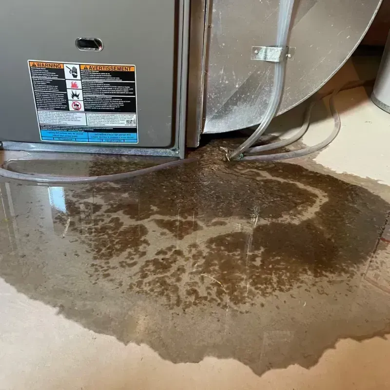 Appliance Leak Cleanup in Capron, IL